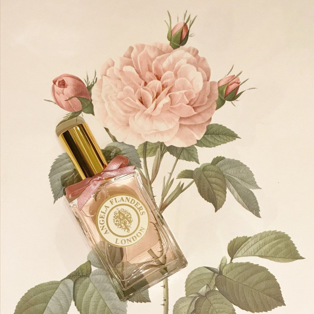 The Romance of the Rose – Angela Flanders Perfumery