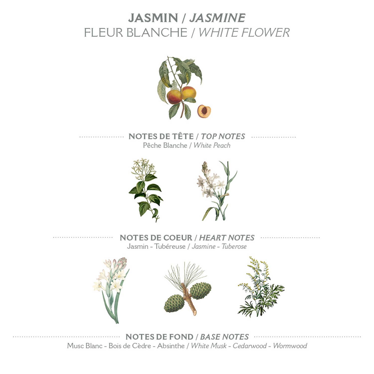 Hand cream 30ml | Precious jasmine