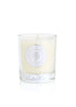 Winter Fir Perfumed Candle