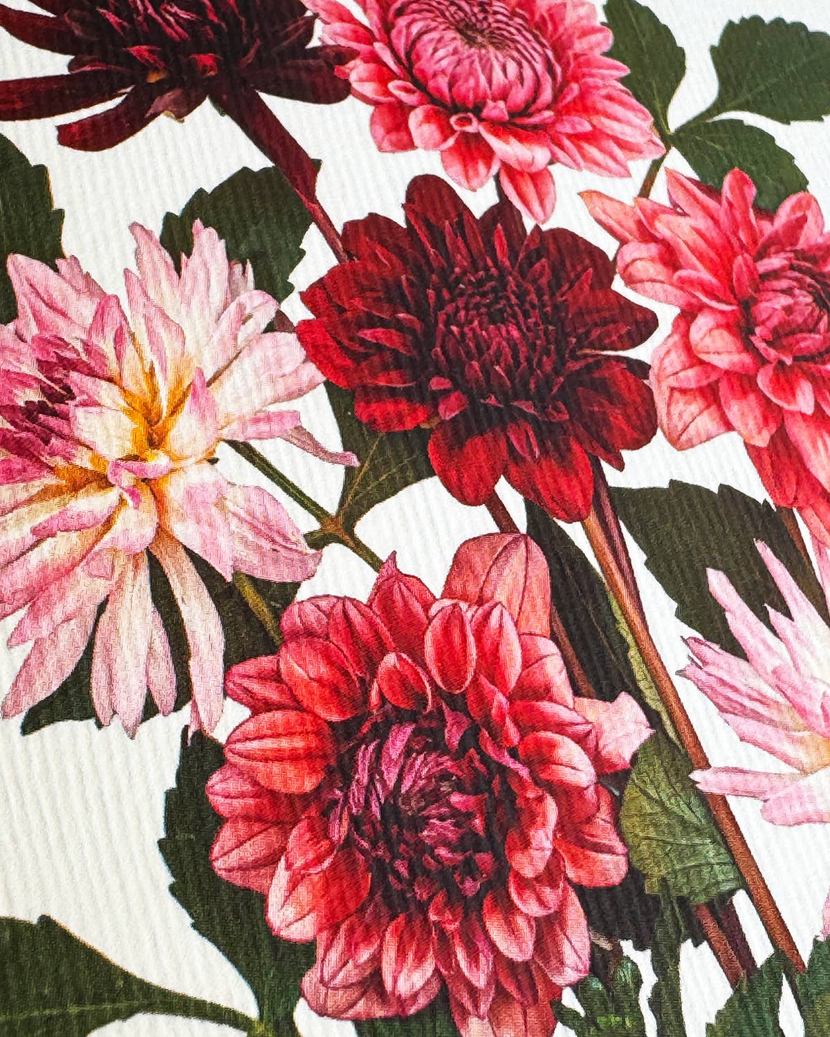 Garden Dahlias Greeting Card: Individual