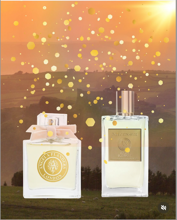 5 of The Best Solar Perfumes