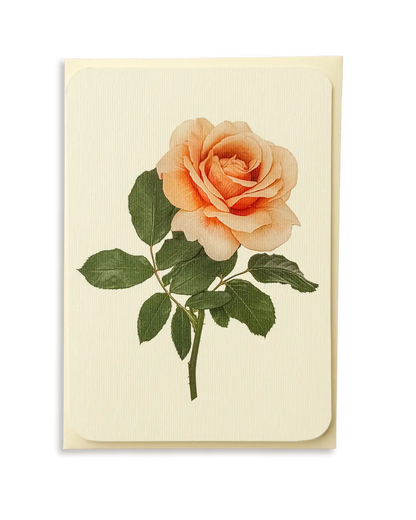 Dusky Rose Greeting Card | Birthday Card