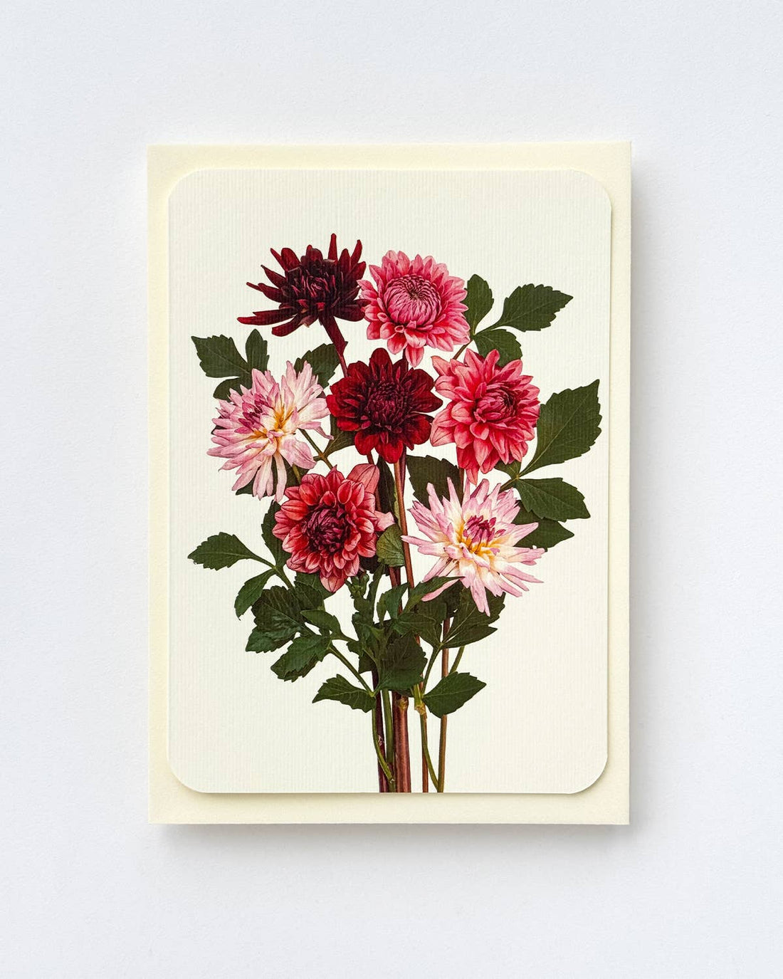 Garden Dahlias Greeting Card: Individual
