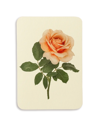 Dusky Rose Greeting Card | Birthday Card