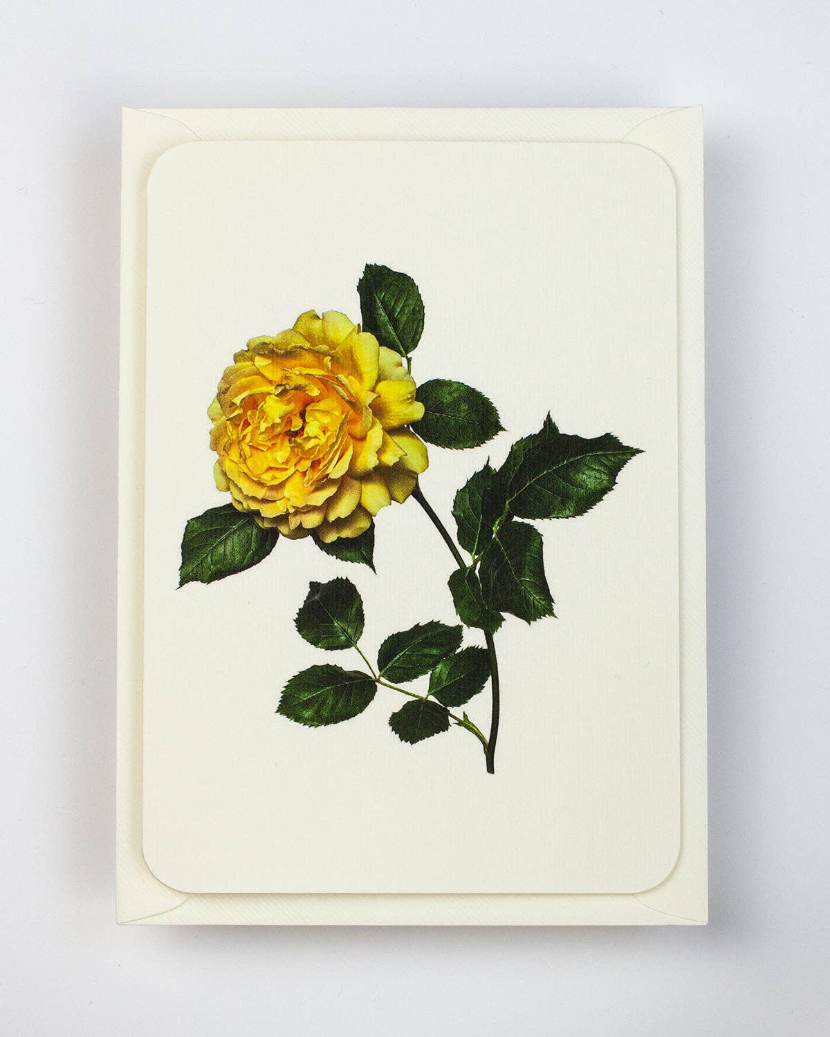 Yellow Rose Notecard