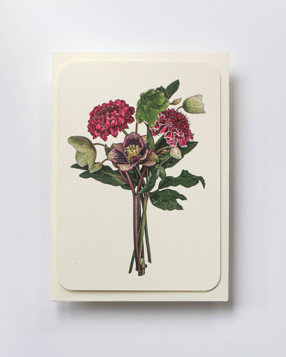 Posy of Hellebore &amp; Scabiosa II Notecard