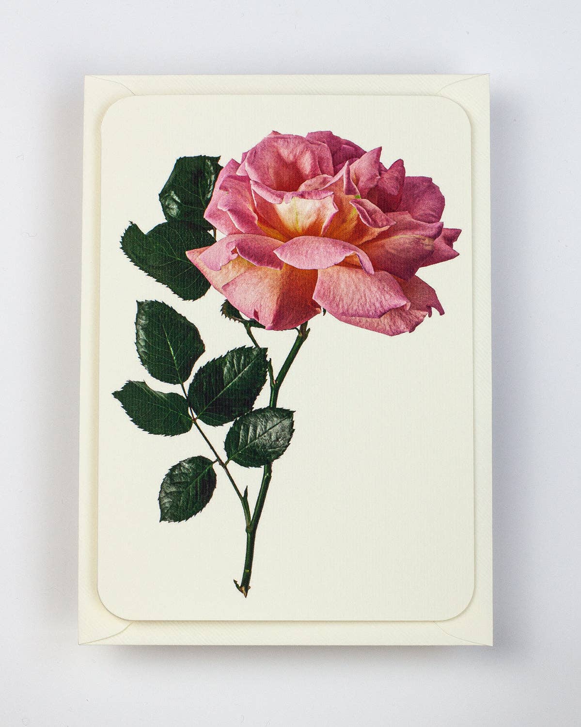 Pink Rose Notecard