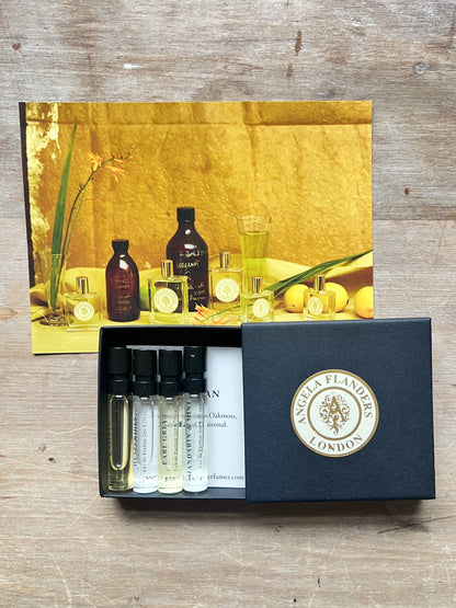 Discovery Set - Signature Collection - Citrus &amp; Woody