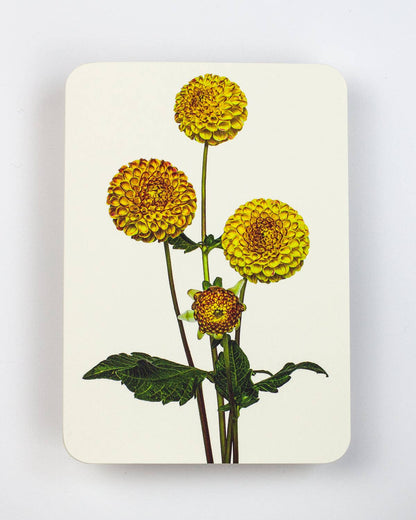 Dahlia Notecard