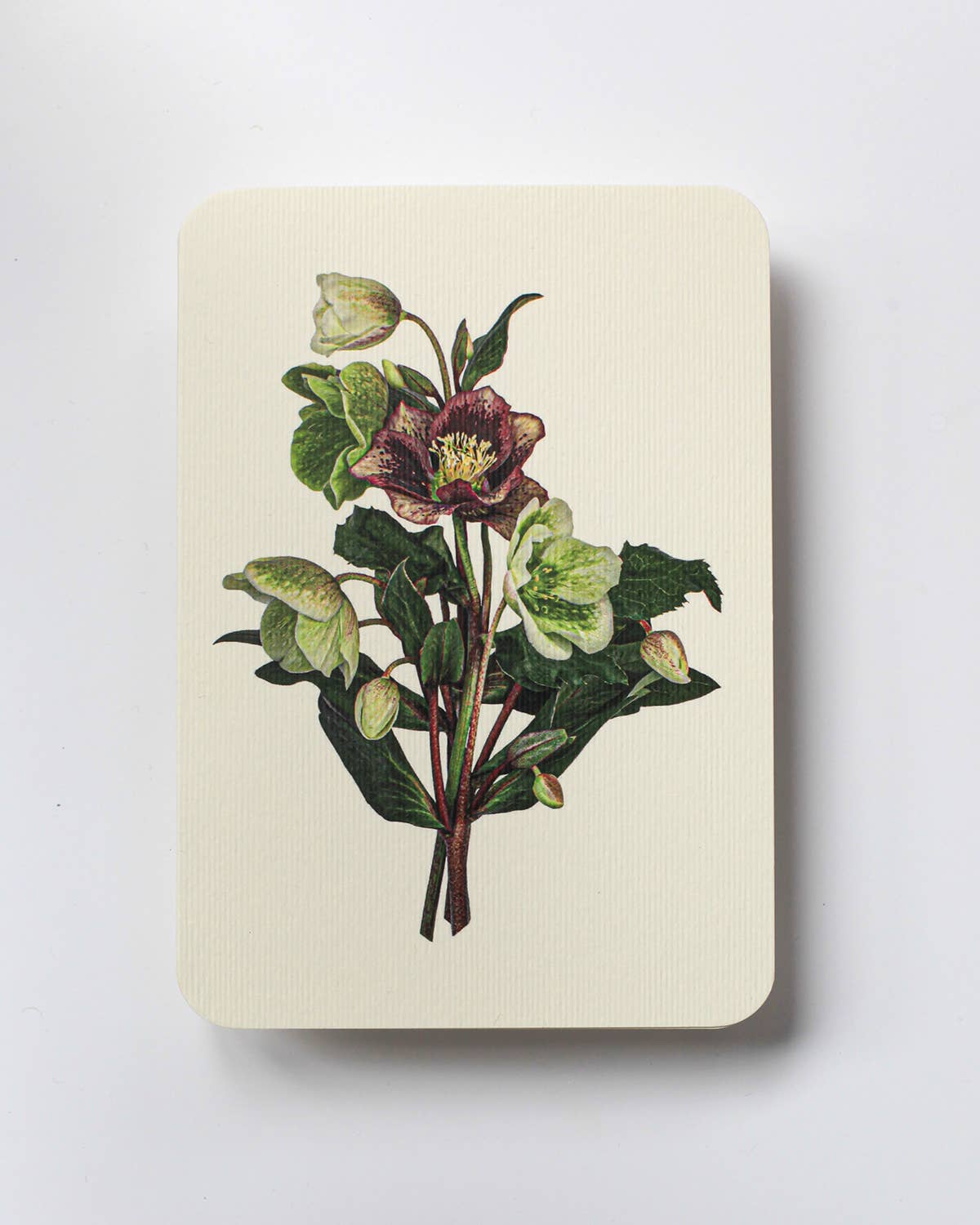 Posy of Hellebore Notecard