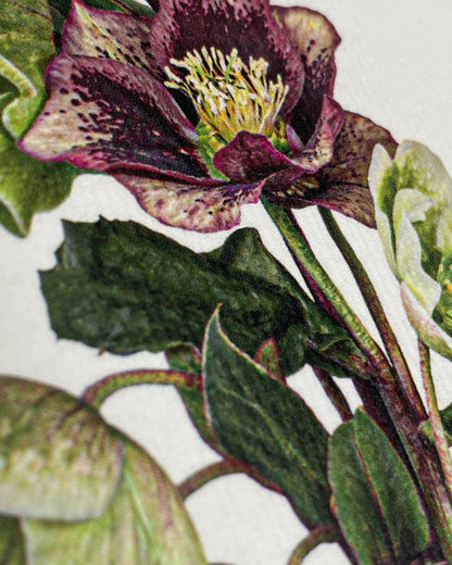 Posy of Hellebore Notecard