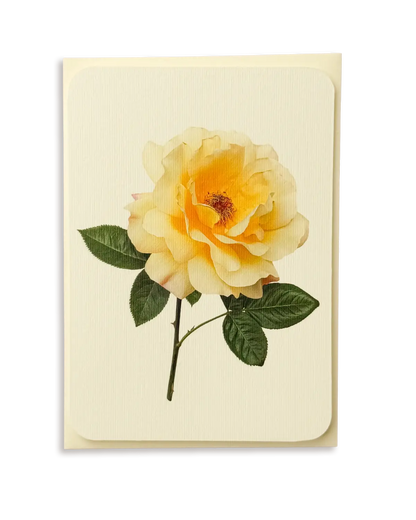 Vanilla Rose Greeting Card | Birthday Card