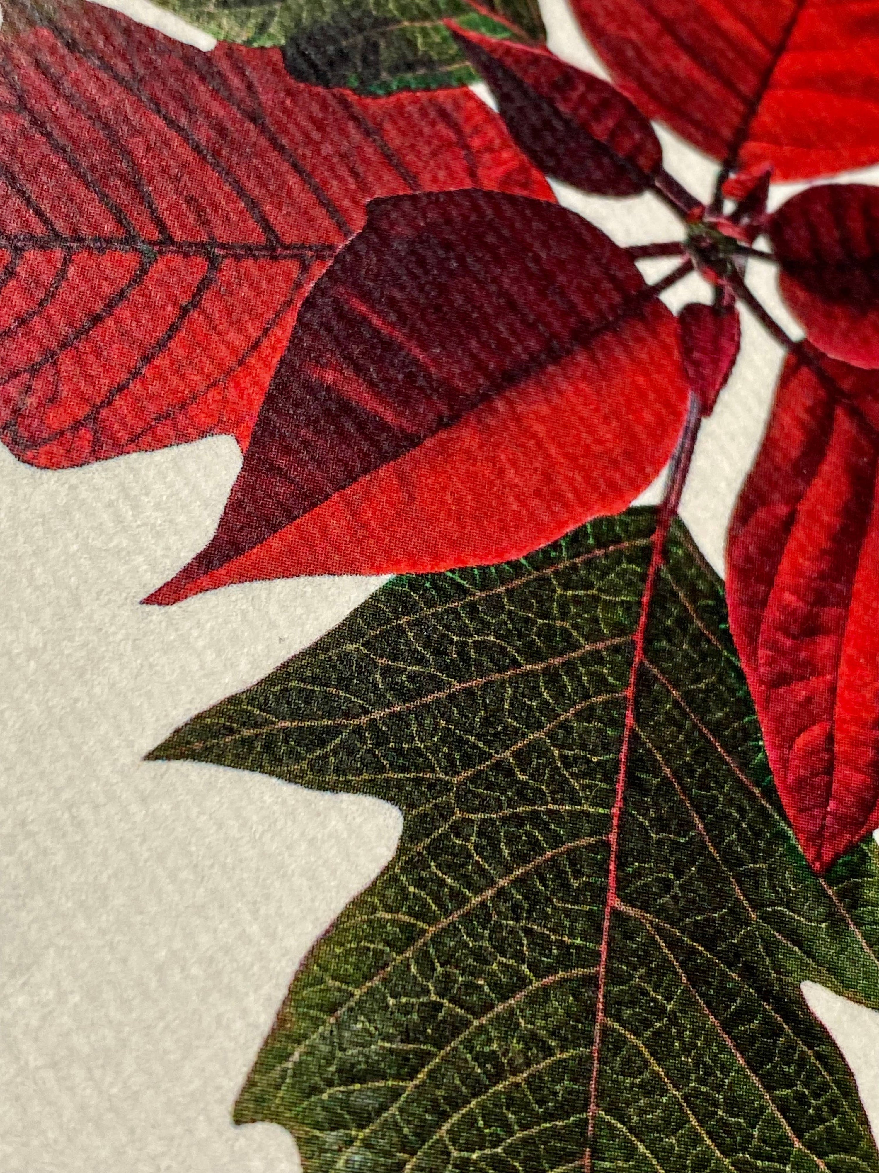 Poinsettia Christmas Greeting Card