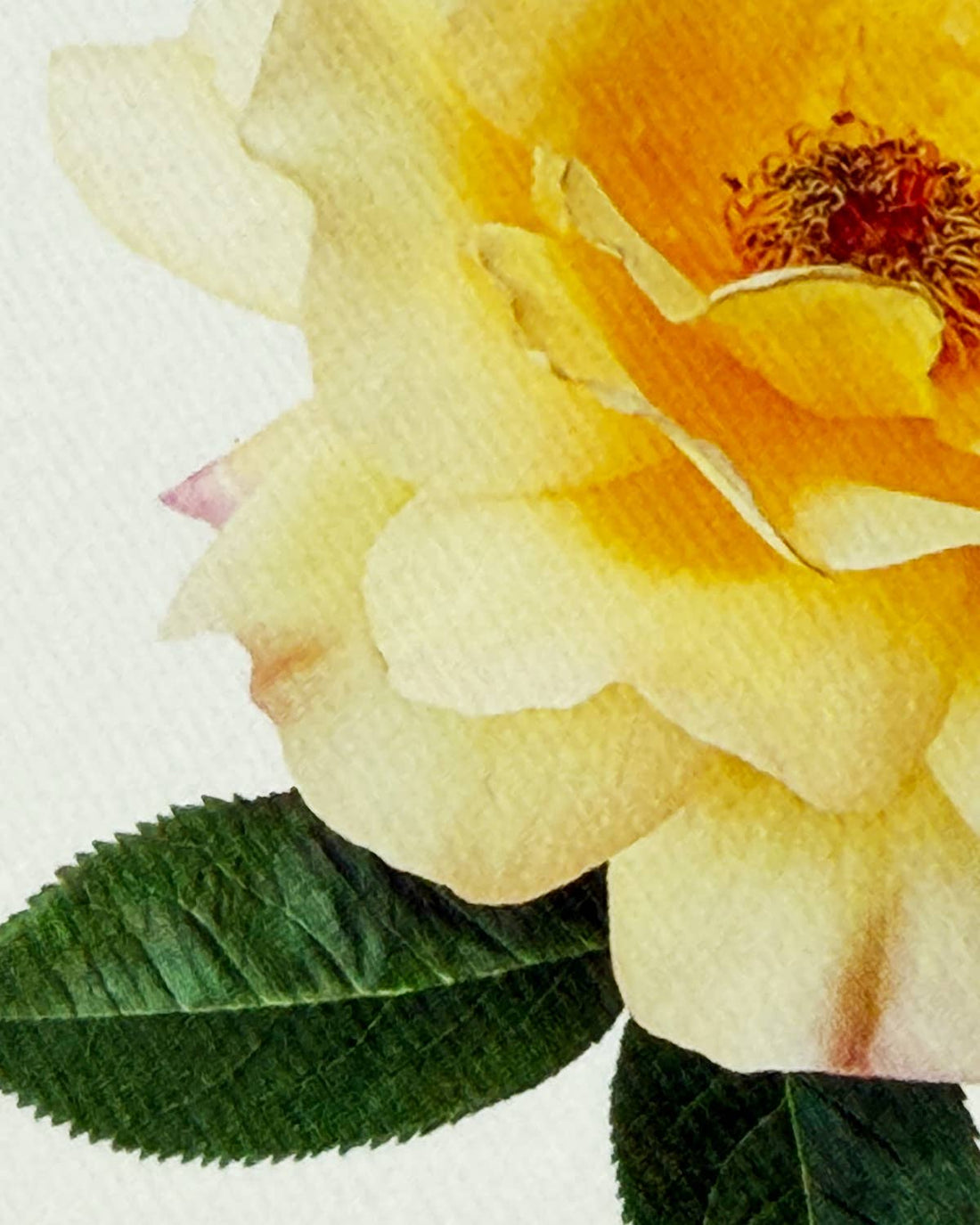 Vanilla Rose Greeting Card | Birthday Card