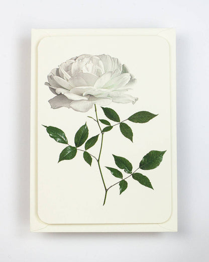 White Rose Notecard