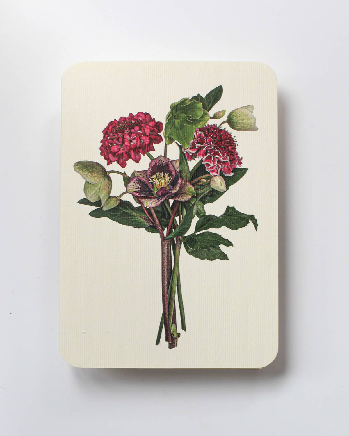 Posy of Hellebore &amp; Scabiosa II Notecard